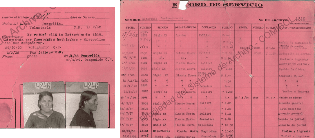 Imagen 2