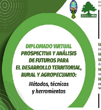 Imagen 6