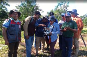 Ir a Fonabosque IIGEO