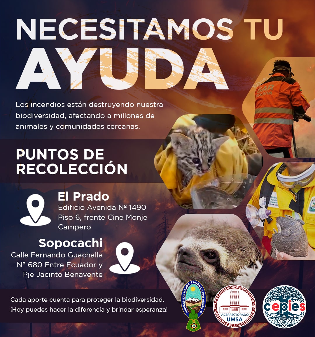¡ÚNETE Y AYUDA A LA AMAZONÍA!