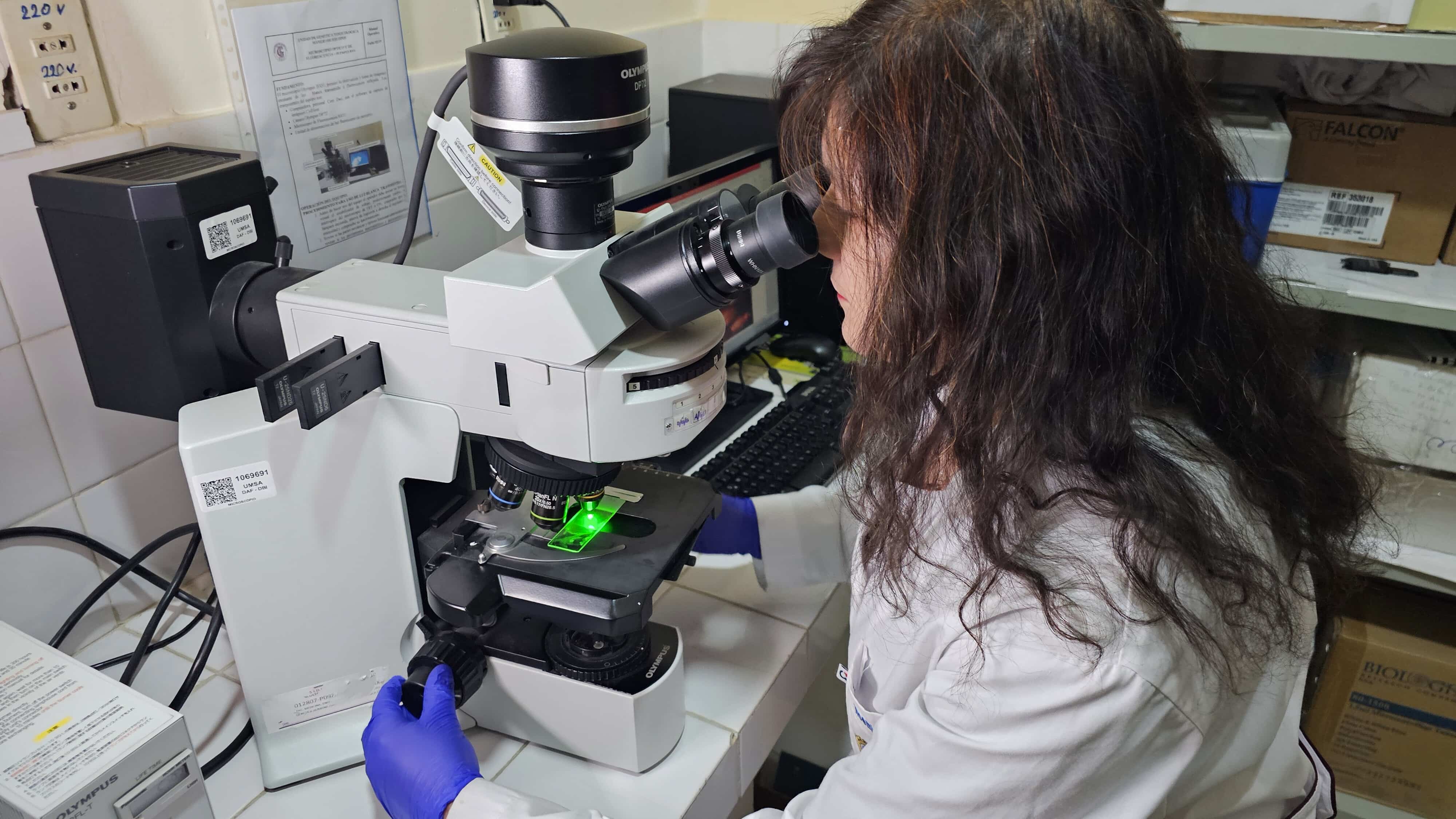 LA INVESTIGACIÓN OTRA DE LAS ACTIVIDADES QUE NO DESCUIDA LA FMENT PARA SOLUCIONAR GRANDES PROBLEMAS EN EL PAÍS