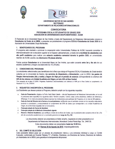 Icono